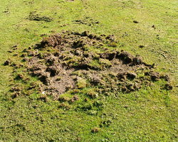 rsz_damage_leather_jackets_2_rvdpas