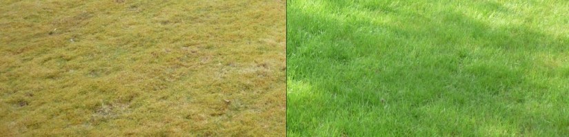 scarification-before-and-after